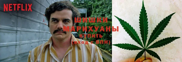 мдпв Лиски