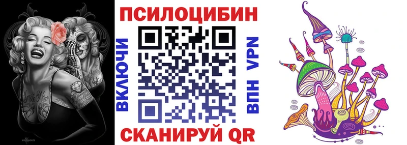 Галлюциногенные грибы Psilocybine cubensis закладки Медвежьегорск